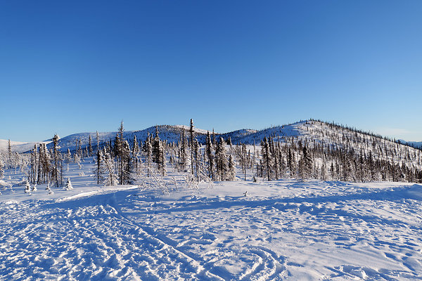 Top of the mountain  49