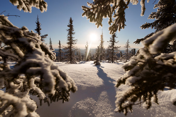 Top of the mountain  88