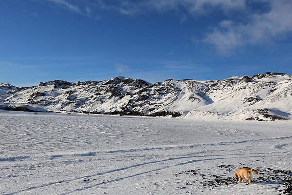 L3  Kleifarvatn 20
