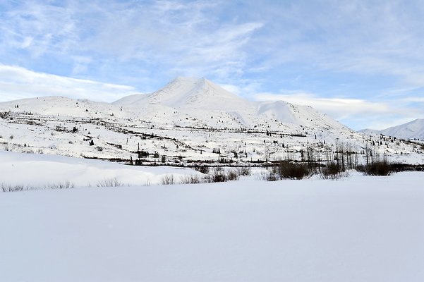 71km North Klondike Uplands (Tombstone Campground) 6