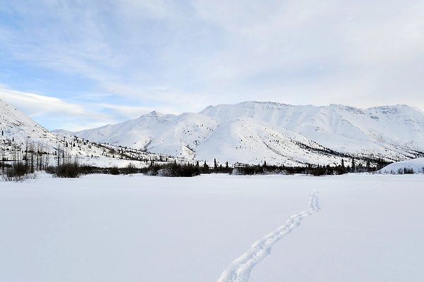 71km North Klondike Uplands (Tombstone Campground) 4