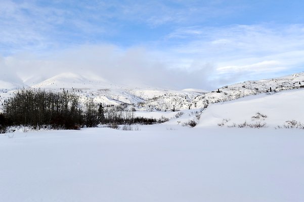 71km North Klondike Uplands (Tombstone Campground) 7