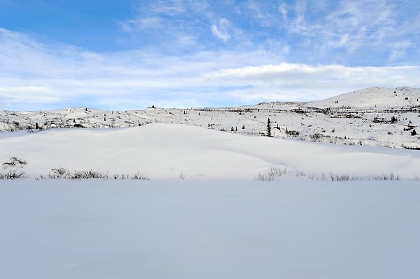 71km North Klondike Uplands (Tombstone Campground) 12
