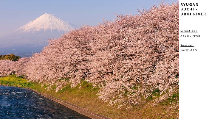 IMI Cherryblossom LocationReference 1214 Page 17