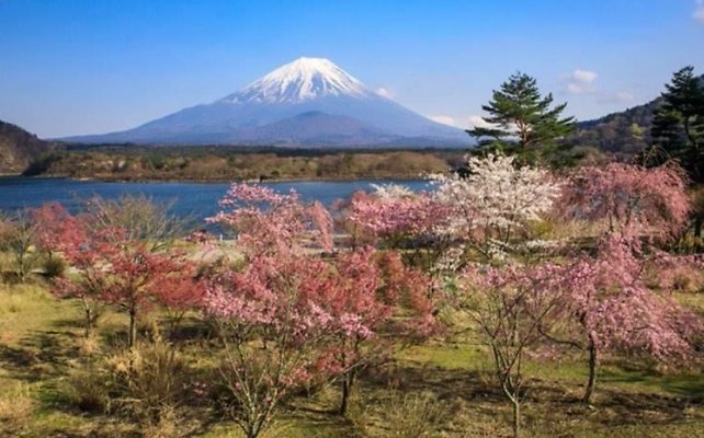 06 Lake Soji