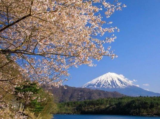 13 Lake Saiko - Saiko Iyashi no Sato Nenba