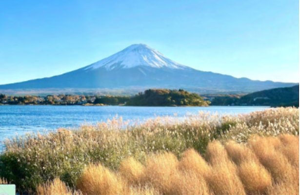 09 Oishi Park 2