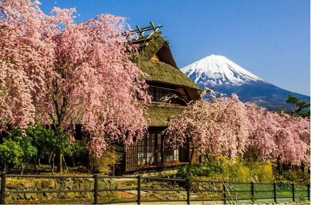 13 Sai Lake Iyashi no sato 3