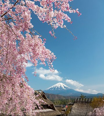 13 Sai Lake Iyashi no sato 6