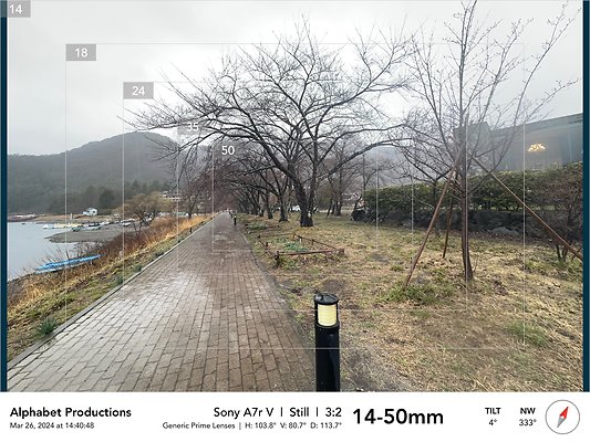 Near the Music Forest 3