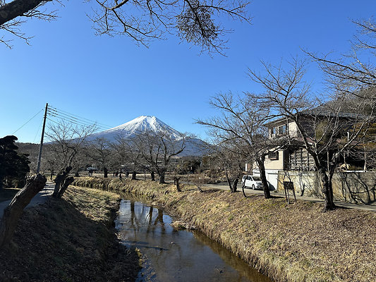Shinasho river 8