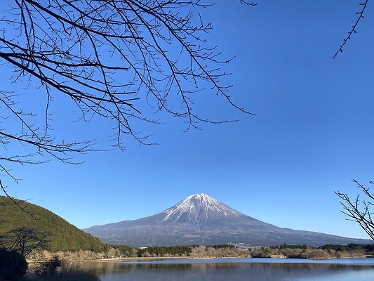 Tanuki lake 4