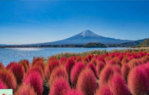09 Oishi Park 1