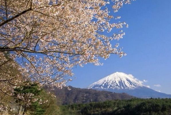 T2-13 Lake Saiko - Saiko Iyashi no Sato Nenba
