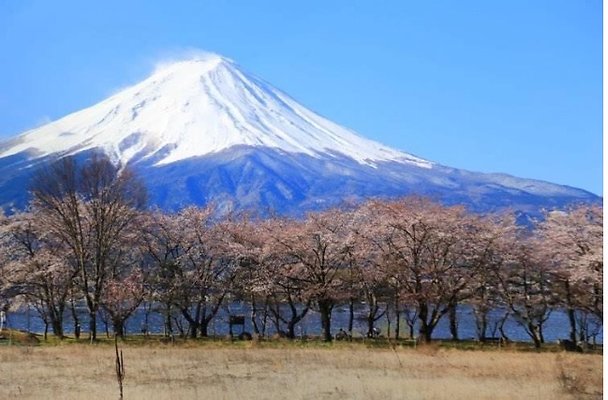 T1-11 Nearby the Kawaguchiko Music Forest Museum