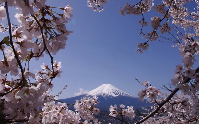 07 Chureito Pagoda 0